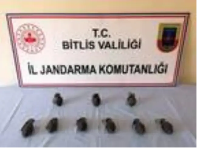Son dakika haberi... Bitlis'te PKK'ya ait el bombaları ele geçirildi