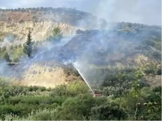 Son dakika haberleri! - Samandağ'da bitki örtüsü yangını