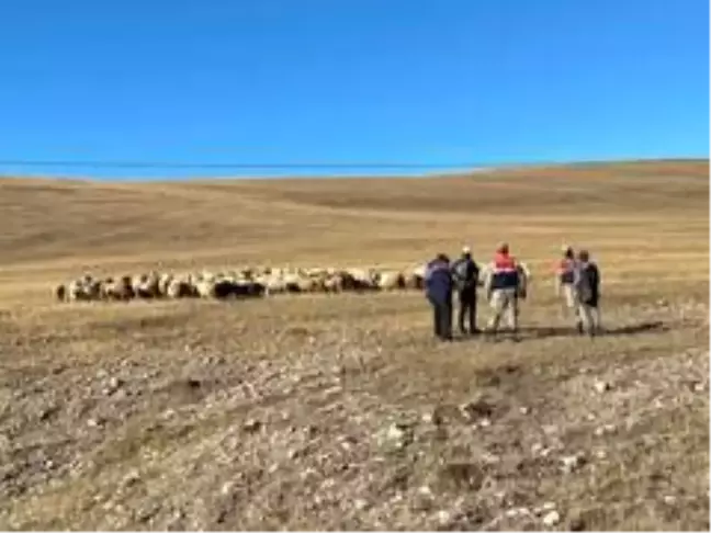 Son dakika haberi: Damal'da kayıp hayvanlar drone ile bulundu