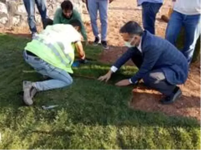 Yeşilyurt Belediyesi tarımsal üretim ve ar-ge sahasında 15 bin metrekare rulo çim üretildi