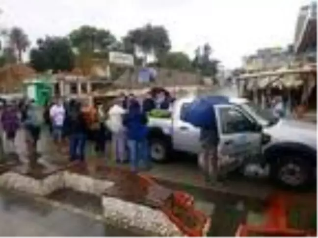 Aydın'da tedavisi tamamlanan caretta caretta denizi bırakıldı
