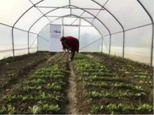 TİKA ile Bosnalı anneler tarımsal ekonomiye katkı sağlıyor