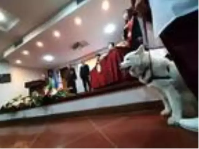 Veteriner Fakültesi öğrencileri, mezuniyete tedavi ettikleri köpekle katıldı