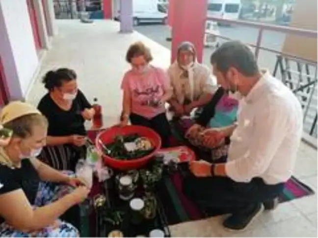 Korona virüs Sındırgı turşusuna ilgiyi arttırdı