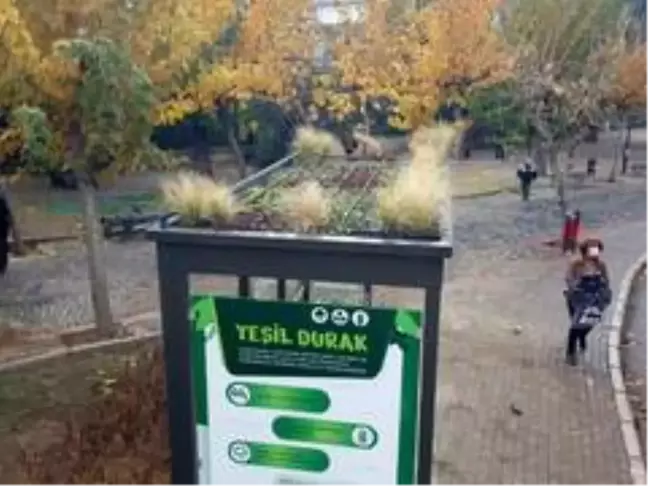 İzmir'deki 'doğa dostu' durak görenleri şaşırtıyor