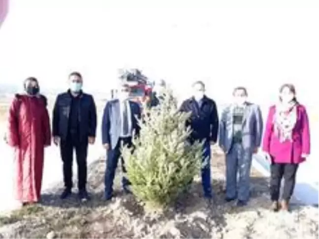 Son dakika: Alltıntaş'ta yatırımlar incelendi, fidan dikimi yapıldı