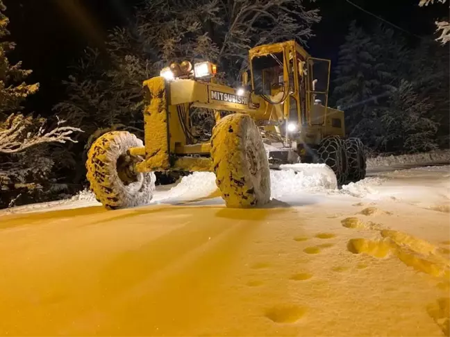 Doğu Karadeniz'de kar yağışı etkili oluyor