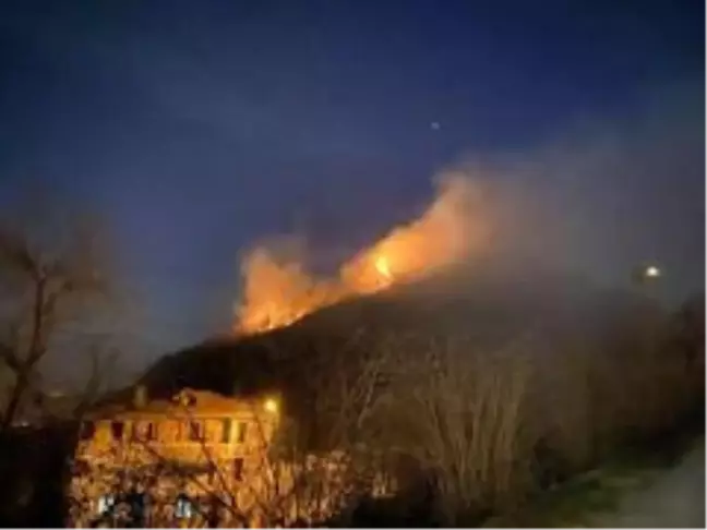 Son dakika haberi! Ordu'da ormanı yangını