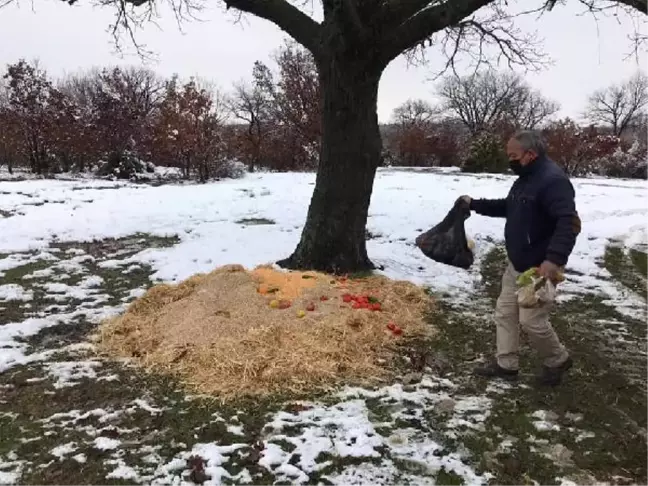 Edirne'de yaban hayvanları için doğaya 2,5 ton yem bırakıldı