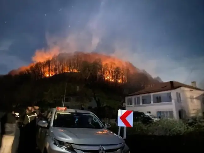 Son dakika haberleri! Ordu'da 3 noktada çıkan yangınlar kontrol altına alındı