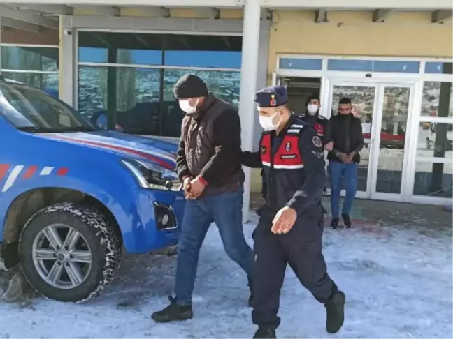 Ağıldan 124 koyun çalan 7 kişi tutuklandı