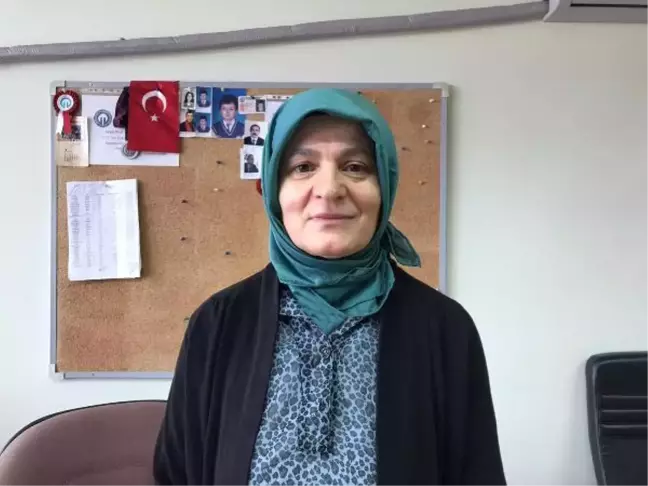 Karaciğer ve meme kanserlerine karşı 'arı zehri'