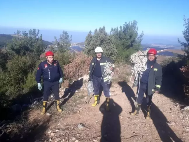 Son dakika haberi | Uçurumda mahsur kalan keçileri itfaiye kurtardı