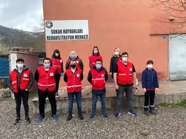 Kızılay sokak hayvanlarını unutmadı