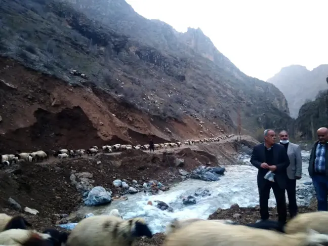 Hakkari'de sürülerin göçü başladı