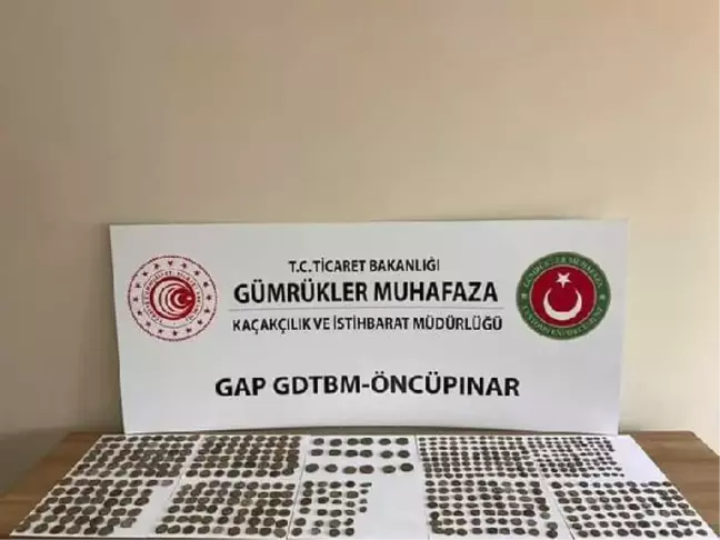 Kilis'te 544 sikke ele geçirildi