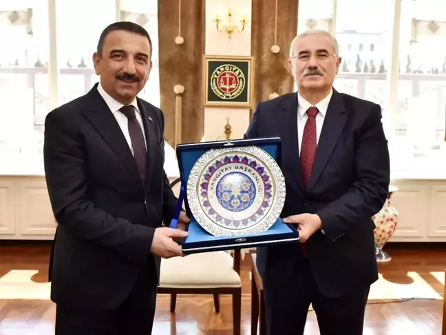 Siirt Valisi Hacıbektaşoğlu, Yargıtay Başkanı Akarca'yı ziyaret etti