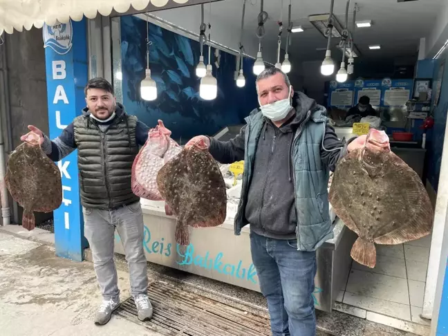 Karadeniz'de kalkan balığı bereketi: Kilosu 200 TL