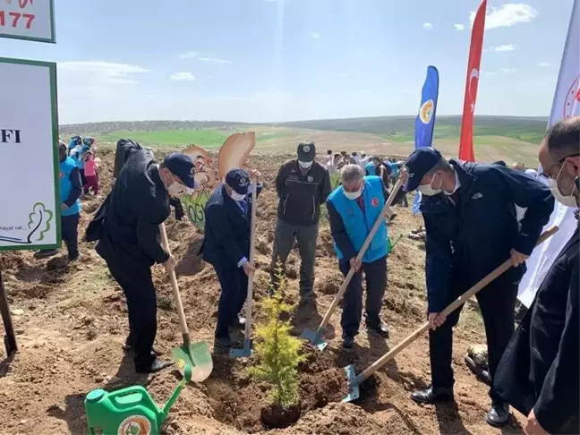 TDV'den '1 İyilik 1 Fidan' projesi