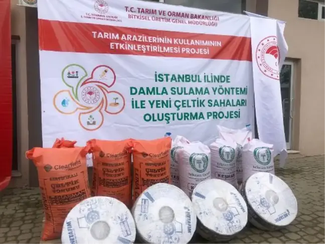 İSTANBUL TARIM İL MÜDÜRÜ: ÇELTİK ÜRETİMİ YAYGINLAŞACAK