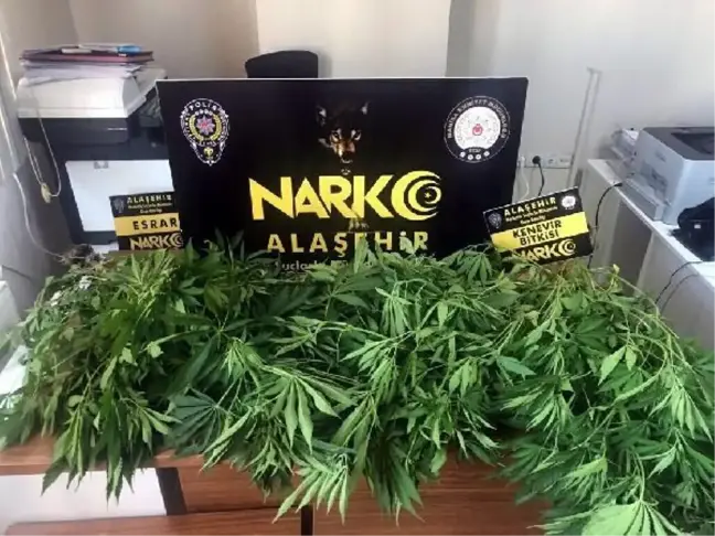Alaşehir'de uyuşturucu operasyonlarına 2 gözaltı