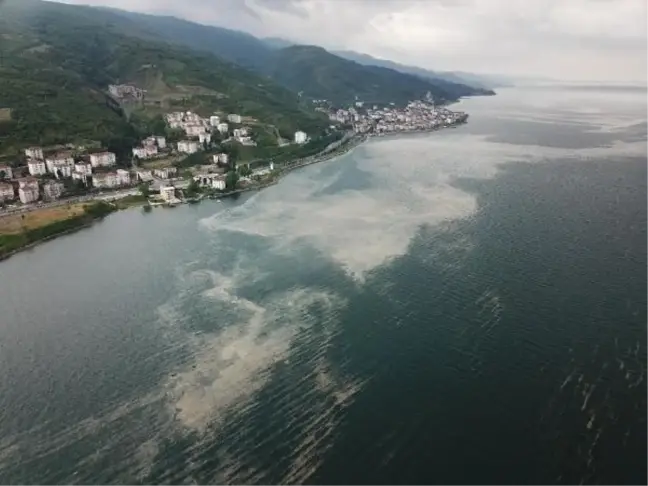 Deniz salyası İzmit Körfezi'ne geri döndü