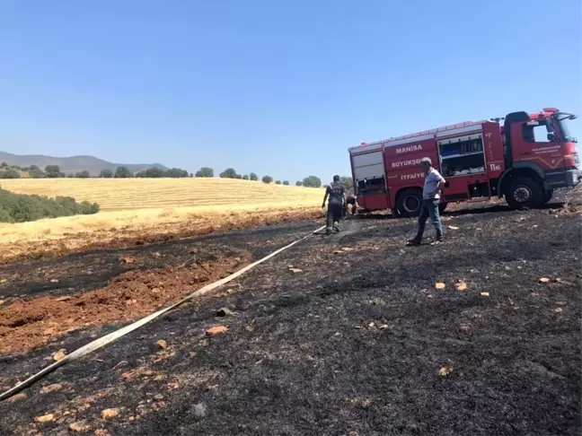 Manisa'da 20 dönüm arpa ekili alan küle döndü