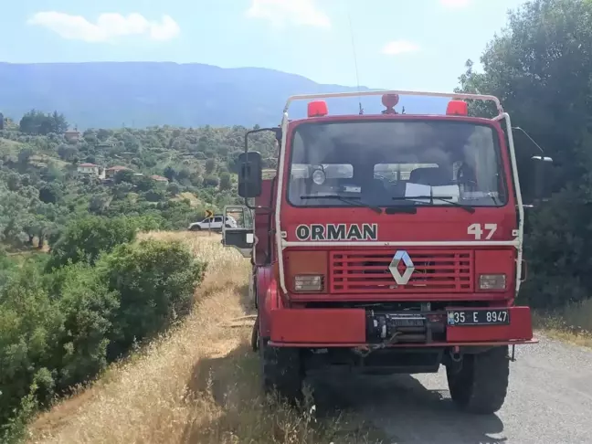 Beydağ'da çıkan yangında zeytin ağaçları zarar gördü