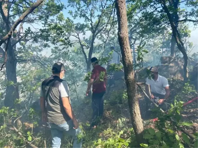 Son dakika... HAMİK DAĞI'NDA ÇIKAN ÖRTÜ YANGINI KONTROL ALTINA ALINDI