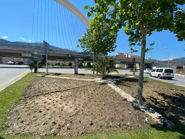 Büyükşehir'in Ürettiği Çiçekler Manisa'yı süslüyor