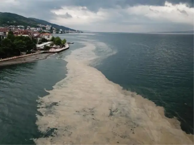 Son dakika haberleri... GEBZE TEKNİK ÜNİVERSİTESİ'NDEN MÜSİLAJ İÇİN 'ÇEVRESEL KOŞUL' ARAŞTIRMASI