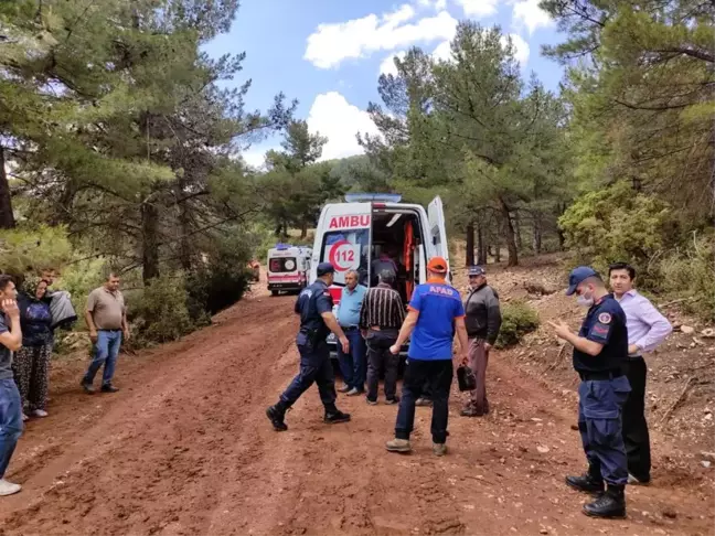 Yağmurdan korunmak için sığındıkları ağaca yıldırım düştü