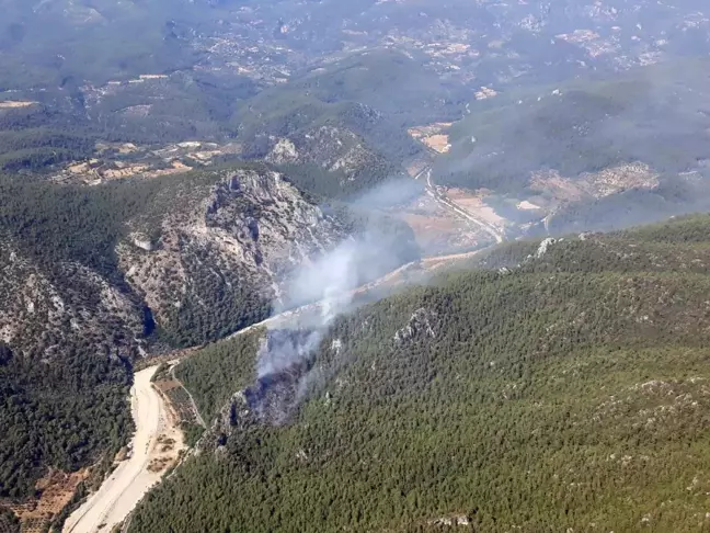 Son dakika... Milas'ta orman yangını