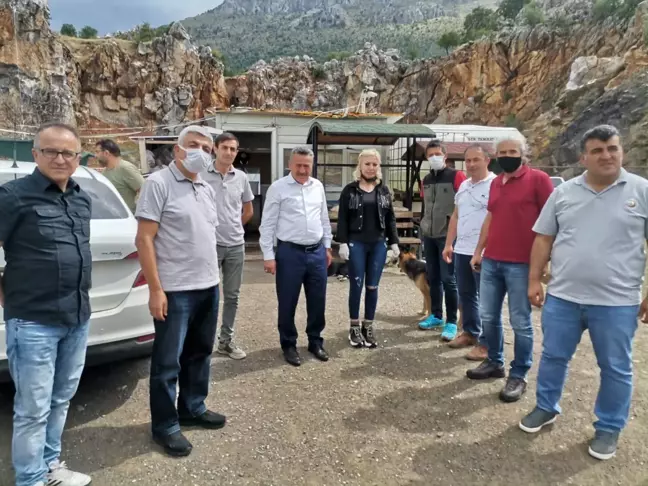 Seydişehir'e modern hayvan barınağı yapılacak