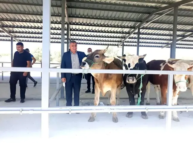 Başkan Arif Teke: