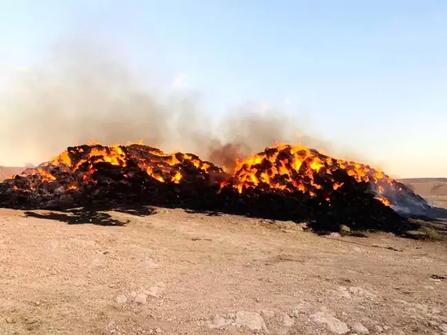 Haymana'da 5 bin balya saman yanarak kül oldu