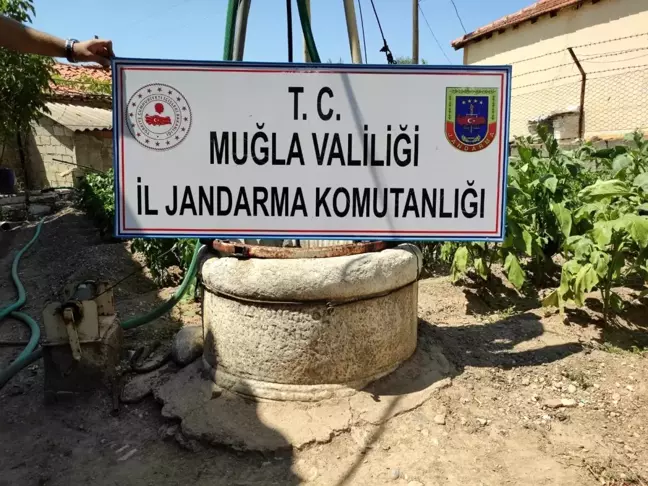 Evin bahçesinde tarihi sütun ele geçirildi