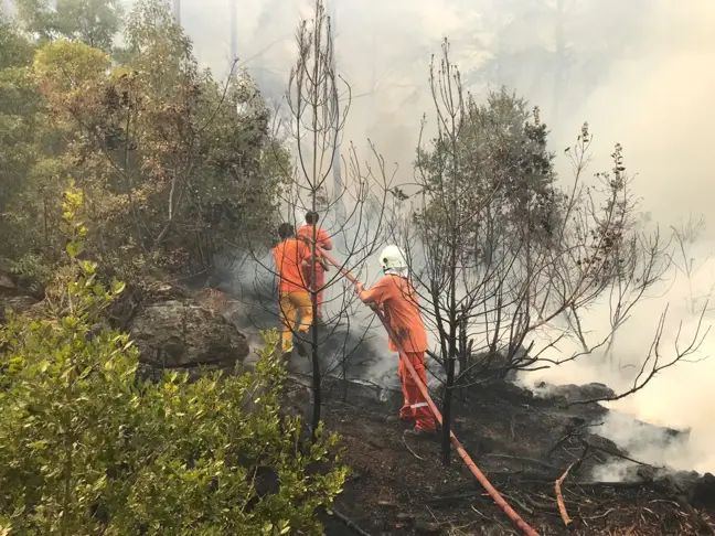 Alanya'da çıkan orman yangınına havadan ve karadan müdahale ediliyor