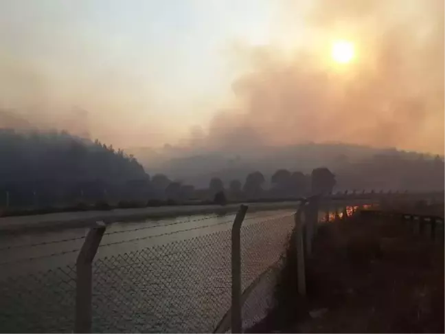 Son dakika: ADANA'DA 4 İLÇEDEKİ 6 NOKTADA ORMAN YANGINI SÜRÜYOR