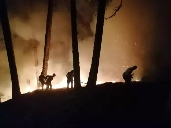 Aydın'daki orman yangınına müdahale devam ediyor