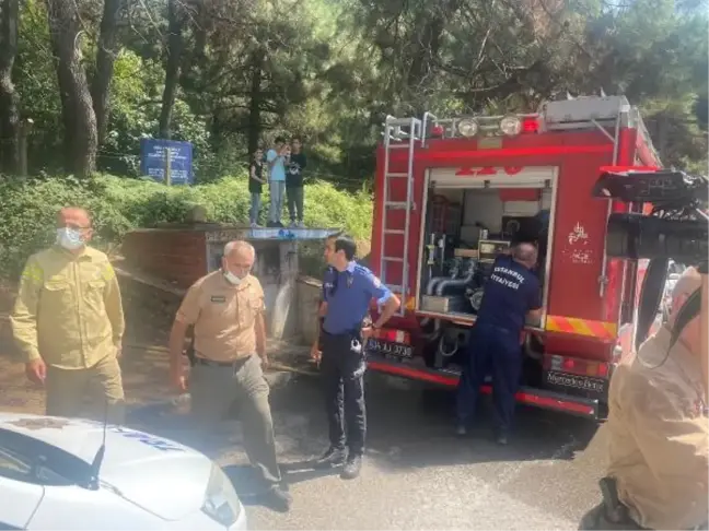 Son dakika haberleri | AYDOS ORMANI'NDA ÇIKAN YANGIN BÜYÜMEDEN SÖNDÜRÜLDÜ