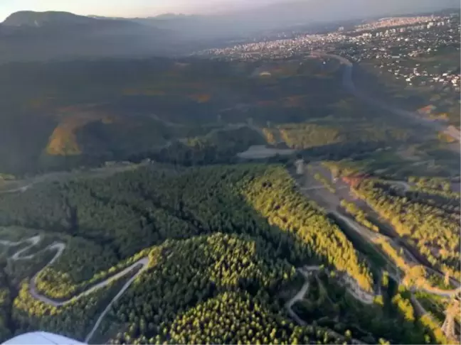 Dörtyol'daki orman yangınında 15 hektar alan zarar gördü