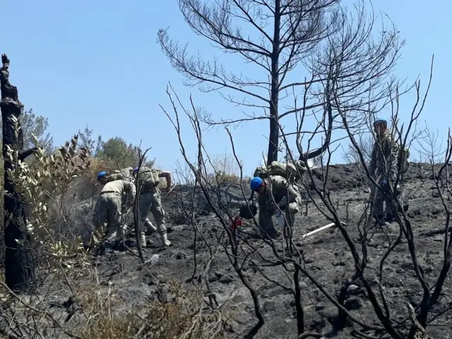 Hatay'da komandolar yangın söndürüyor