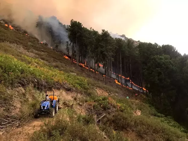 Aydın'daki yangınlardan biri kontrol altına alındı