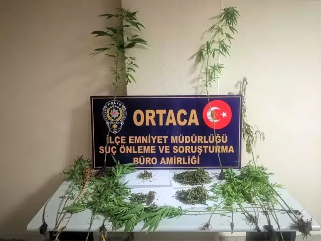Ortaca'da uyuşturucu operasyonu