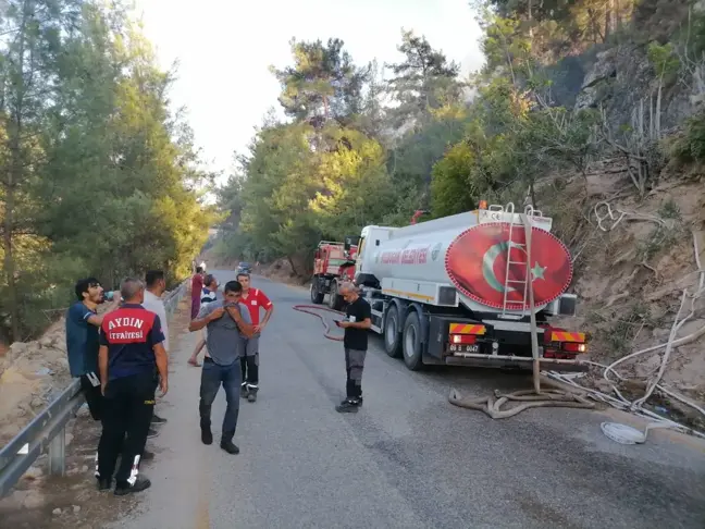 Aydın'ın Bozdoğan ilçesindeki orman yangını kontrol altına alındı