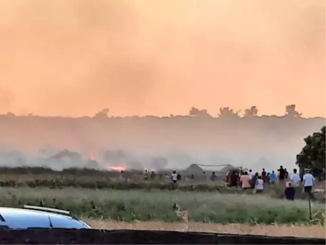 AYVALIK'TA AĞAÇLIK ALANDA YANGIN