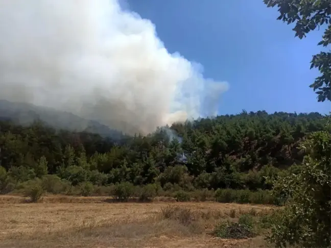 Uşak'ta çıkan orman yangını kontrol altına alındı