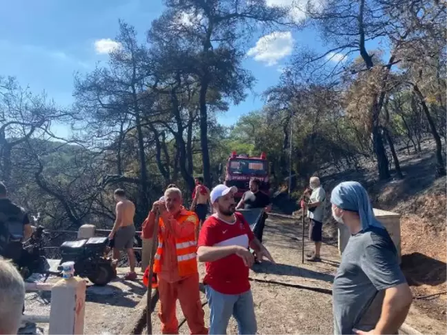 Heybeliada'daki alevlere müdahale için insan zinciri