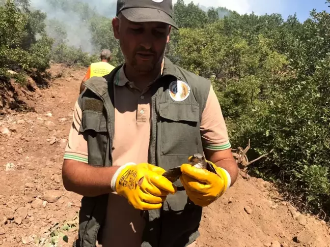 Son Dakika | Tunceli'deki orman yangınları kontrol altına alındı